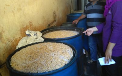Pengendalian Kualitas di Industri Tempe Somber