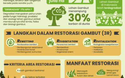 Restorasi Gambut Demi Lawan Degradasi