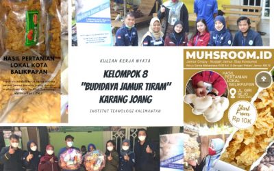 Muhsroom.id : Gerakan Mahasiswa ITK Dalam Lakukan Budidaya Jamur Tiram di Daerah Karang Joang