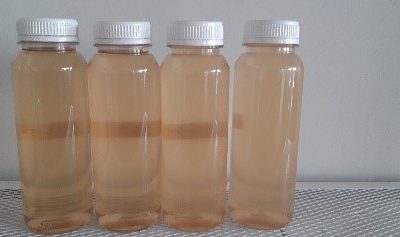 Dosen ITK Kembangkan Komoditas Lada Kalimantan Timur Sebagai Minuman Ferementasi Kombucha Lada